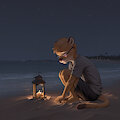 Lantern light by FluffyOverclock