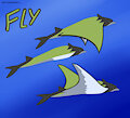 Fly by jenfoxworth