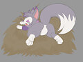 A Nap by LunaMuenster