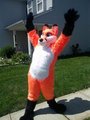 Obnoxious Fox
