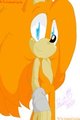 Hedgie Hedgie Paradise: Character: Kit The Hedgehog by LoaSBand