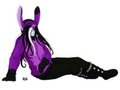 Gift - Ayasehoodie