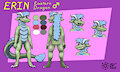 Erin Ref Sheet by Jazovyx
