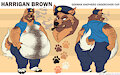 Commission // Harrigan brown by BardoEnKrisis
