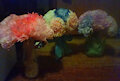 Coffee Filter Flower Bouquets by SonicAnon