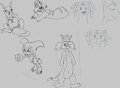 Practice Sketches