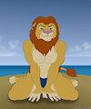 More beach lions by Rahir