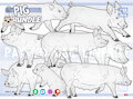 WEEKLY LINEART BUNDLE! by NorthernRed