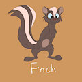 Finch The Skunk by CatsNextDoor