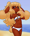 Truffle and Marble go to the beach by AlloyRabbit