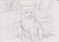 dog by orchua