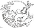 Fruitful roo