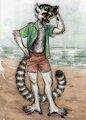 beach boy! [COM]