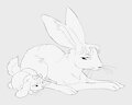 Minbin by 1ksrw