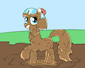 Random Muddy Pony Coco Pommel by mucky