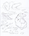 Xavious Study Sketches (February) by Malachyte