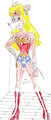 WONDER WOMAN Miss Deli Slice by Godzilla713