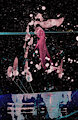 Abstract WDVMMs by Wetdryvac