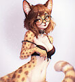 Sawyer Sheila Serval by Sawyersheila