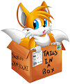Tails In A Box by TabbyKazuki