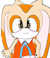 Cream the (Diapered) Rabbit by MilestheHedgehog
