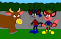 Angry Bull Scared Dexter and Rudi