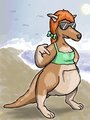 Respect the Pouch by Vellidragon