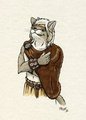 Lost an enemy - got a new cape by Prof