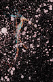 Abstract WDVMMs by Wetdryvac