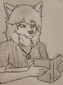 Fennec Studies