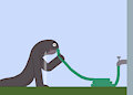 Sinktember 2025 25 - Hose