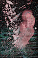 Abstract WDVMMs