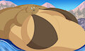 Honey Paw In the Lake