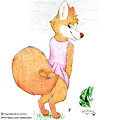 zorro (patreon) by Yordraw
