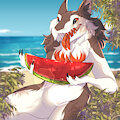 Favorite watermelon