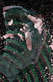 Abstract WDVMMs by Wetdryvac