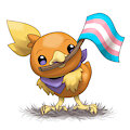 Torchic says trans rights! - Commissions open by claragonza3