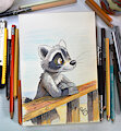 International Raccoon Appreciation Day by pandapaco