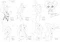 Study Sketches (May) by Malachyte