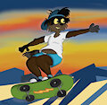 Raccoon skating by Rasik