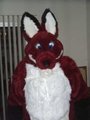 My Fursuit