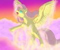 Flutterwonder