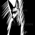 Don't Be Afraid of the Dark by LostWolfSpirit