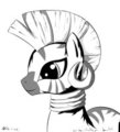 30min challenge - Zecora