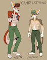 Coyotes