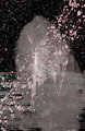 Abstract WDVMMs by Wetdryvac