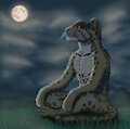 MitsukiKageroc by dragon171