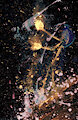 Abstract WDVMMs by Wetdryvac