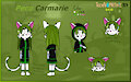 Halloween special character-- Peco Carmarie by Netherkitty