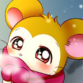 Winter Pashmina by Koufun